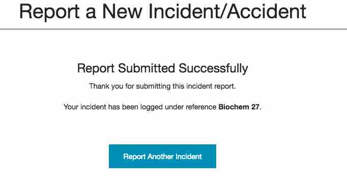 Showing an example unique on-screen reference number for the incident submission